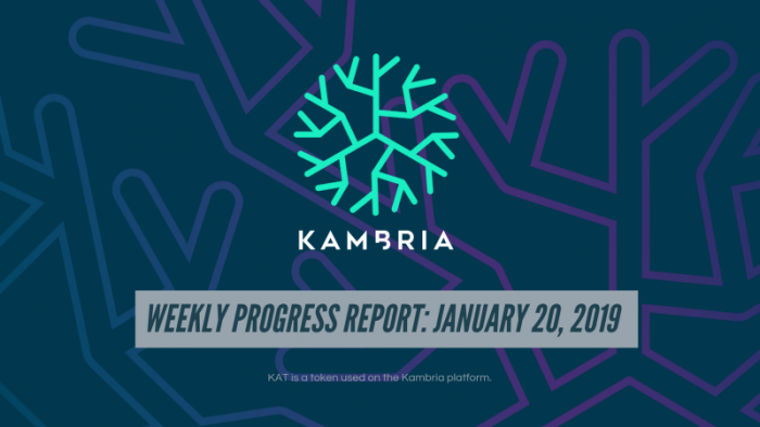 Kambria Weekly Progress Report: January 20th Kambria Business Model Master Plan
