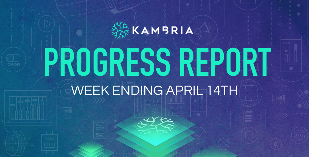 Kambria Weekly Progress Report