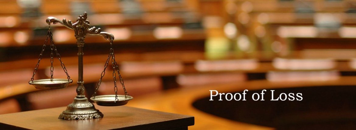 Proof of Loss Proof of Concept