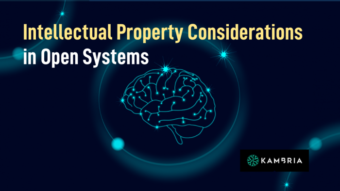 Intellectual Property Considerations in Open Systems Intellectual Property Open Systems