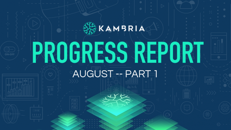 Kambria Progress Report -- August 2019 Part I