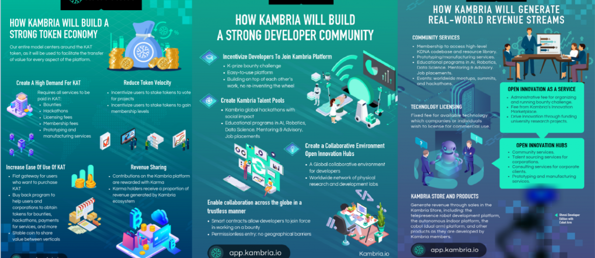Kambria infographics