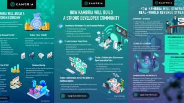 Kambria infographics
