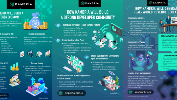 Kambria infographics
