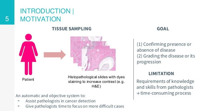 VietAI Summit Detection and Classification of Cancer