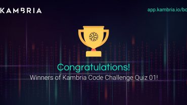 Kambria Progress Report -- January 2020, Part 2