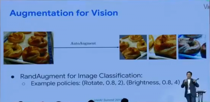 augmentation for vision showing the changes done to images for the training model