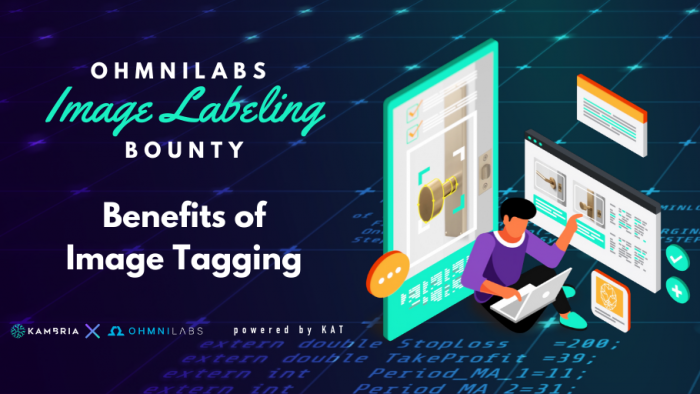 OIL Bounty: The Benefits of Image Tagging