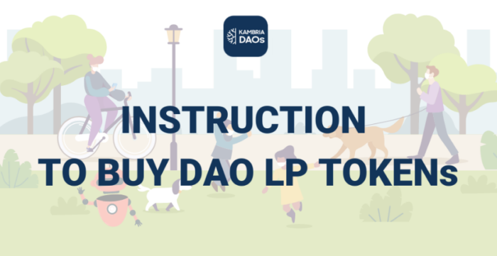Instruction on how to buy DAO LP Tokens